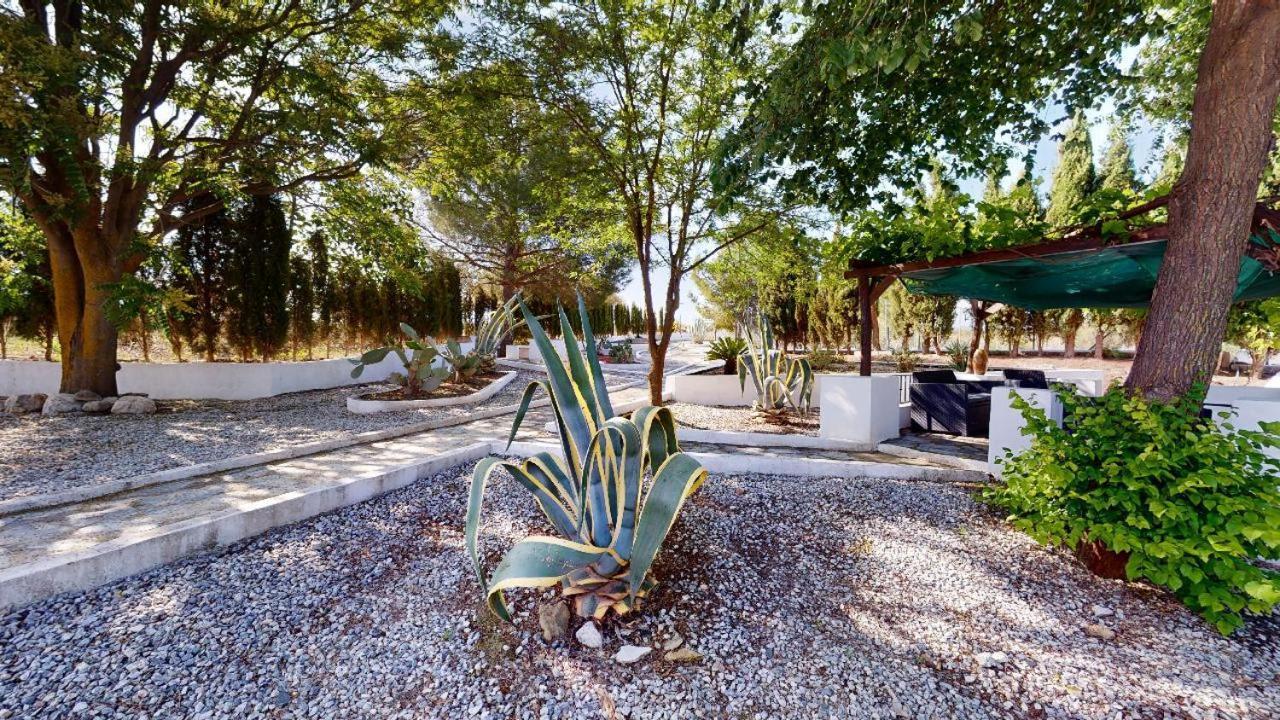 مبيت وإفطار Caniles Casa Lucia المظهر الخارجي الصورة